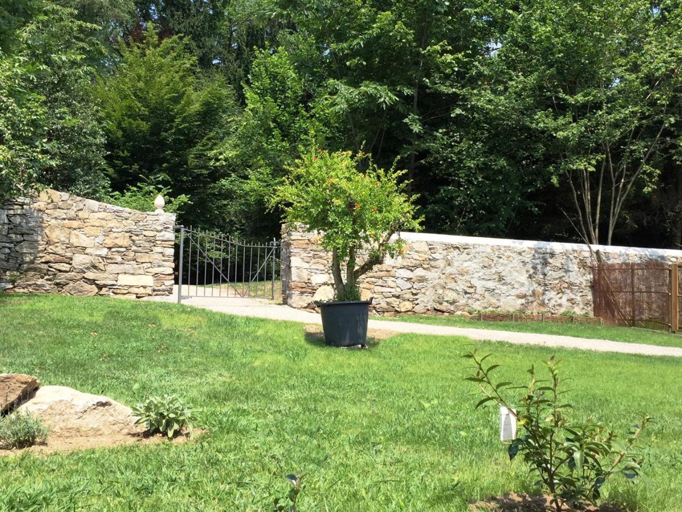 Corte Villa Donati Cissano Dış mekan fotoğraf